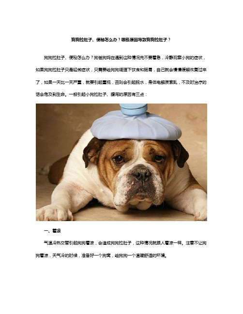 狗狗拉肚子、便秘怎么办?哪些原因导致狗狗拉肚子?
