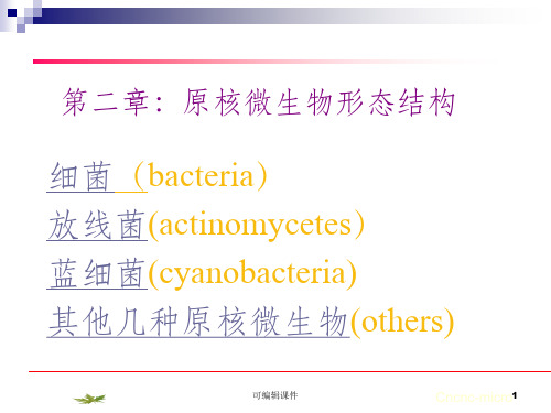 原核微生物形态结构ppt课件