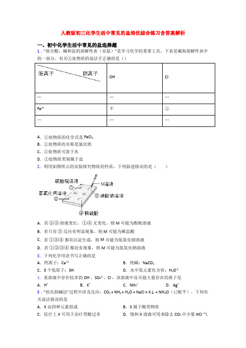 人教版初三化学生活中常见的盐培优综合练习含答案解析