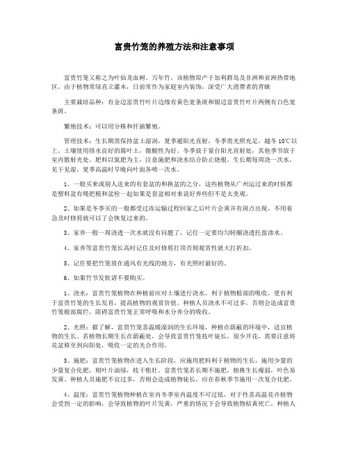 富贵竹笼的养殖方法和注意事项