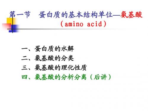 蛋白质的基本结构--氨基酸