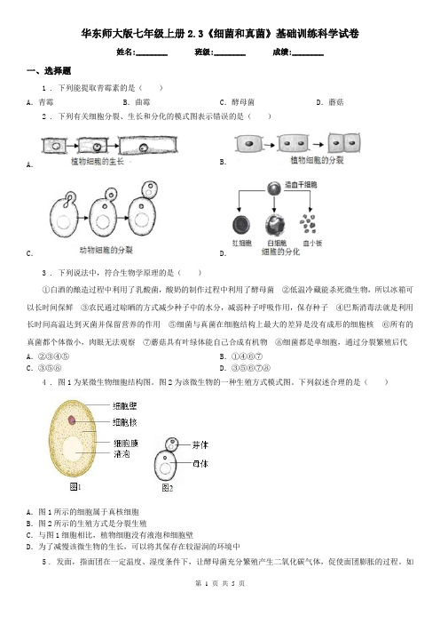 华东师大版七年级上册2.3《细菌和真菌》基础训练科学试卷