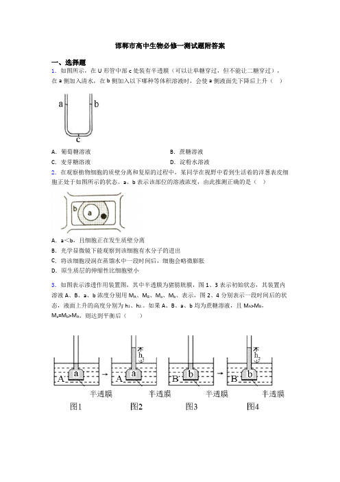 邯郸市高中生物必修一测试题附答案