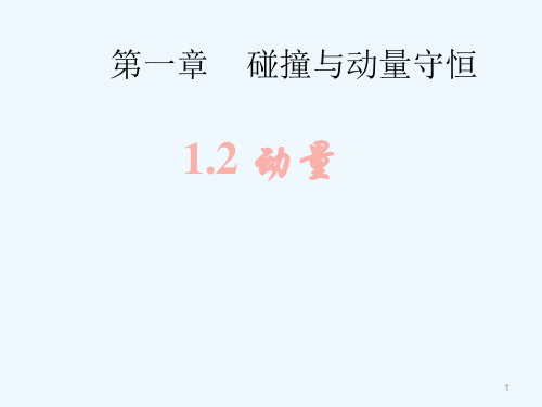 高中物理 1.2 动量课件 教科版选修3-5