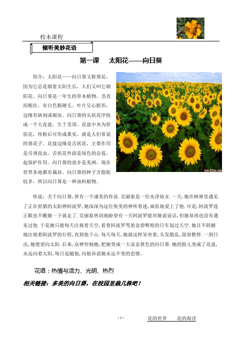 校本教材 下花园 花的世界、花的海洋(四年级)教材