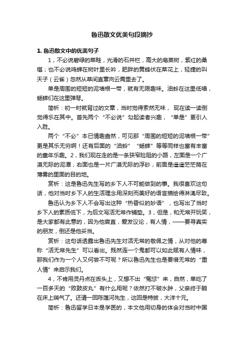 鲁迅散文优美句段摘抄