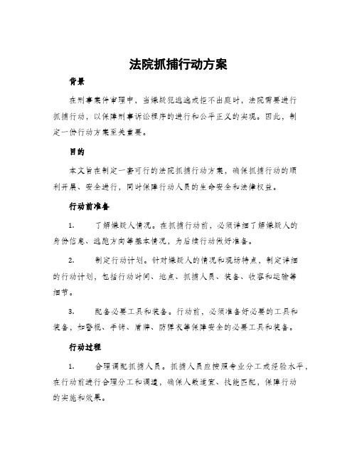 法院抓捕行动方案