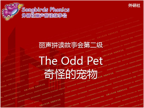 The Odd Pet 外研社丽声拼读故事会songbirds2 含触发器游戏