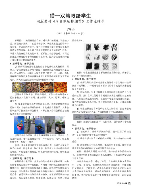借一双慧眼给学生 湘版教材《用画笔触摸细节》之作业辅导