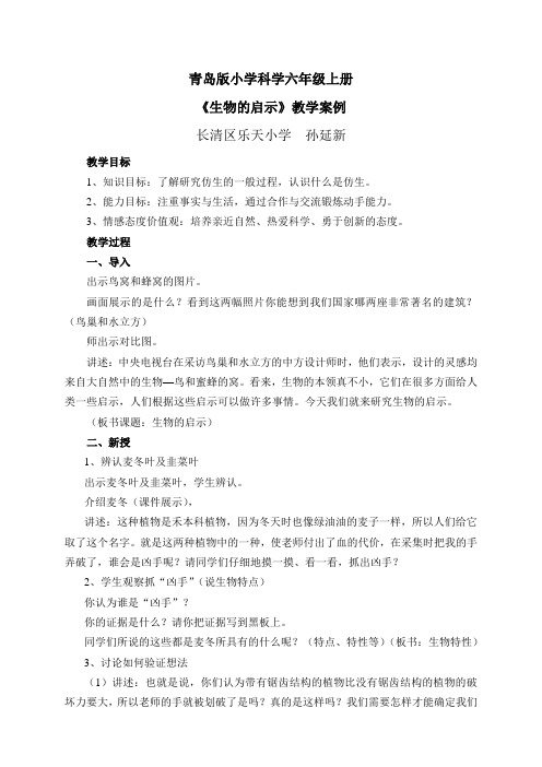 科学六年级《生物的启示》教学设计及反思