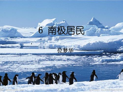 南极居民