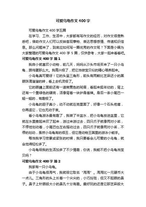 可爱乌龟作文400字五篇