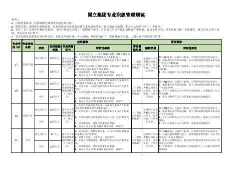 集团公司：专业职级管理规范