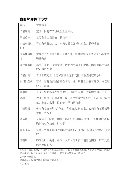 猪解剖流程及诊断图