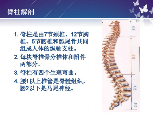 护理新技术脊柱骨折病人的护理ppt课件-文档资料