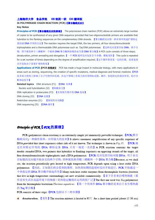 Principles of PCR