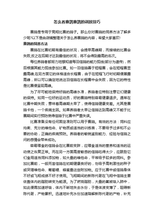 怎么养赛鸽赛鸽的训放技巧