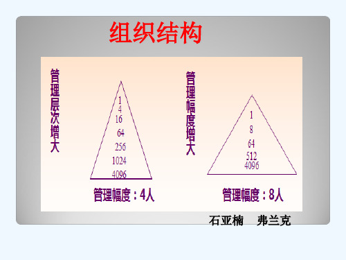 组织理论管理—组织结构