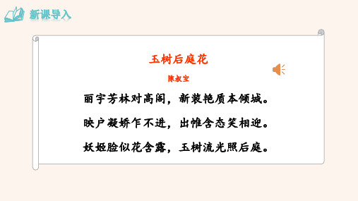 七年级下册语文-课外古诗词诵读2---名著导读.《海底两万里》-合集