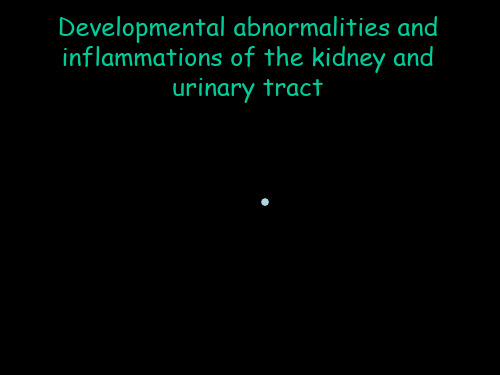 高血压英文PPT精品课件Developmentalabnormalitiesandinflammat