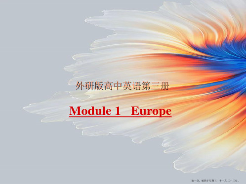 高中英语 Module1《Europe》Grammar课件2 外研版必修3