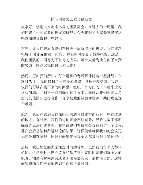 团队周会怎么发言稿范文