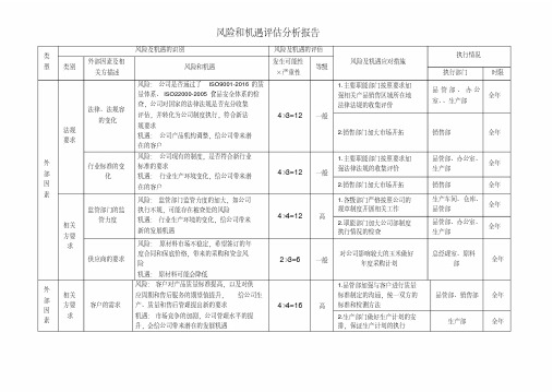 风险和机遇评估分析报告模版