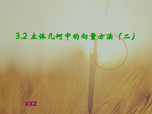 最新--数学课件3.2立体几何中的向量方法二 精品