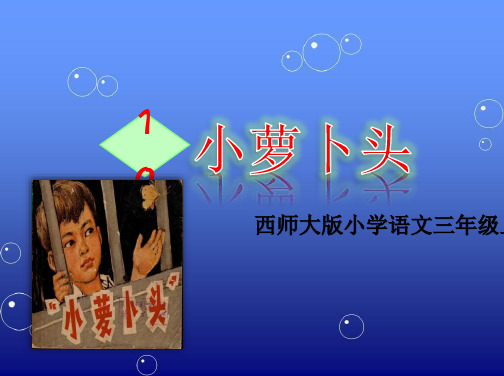 《小萝卜头》课件