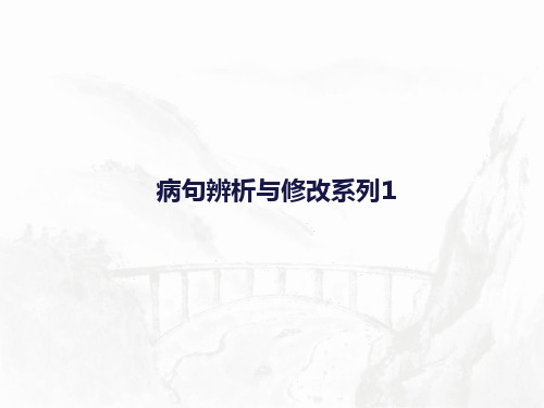 2021年九年级语文一轮复习专题四——病句辨析修改系列1  课件(24张)