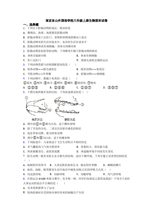 南京东山外国语学校八年级上册生物期末试卷