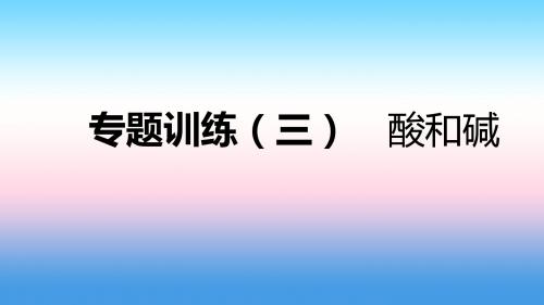 第八章常见的酸碱盐专题训练三酸和碱同步练习课件