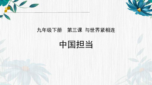 人教版道德与法治九年级下册中国担当课件