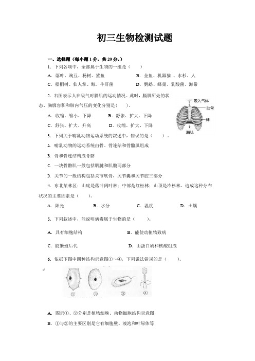 生物试题 初中高中人体四大组织 八大系统  条件反射