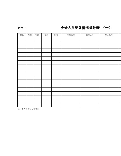 会计人员配备情况统计表