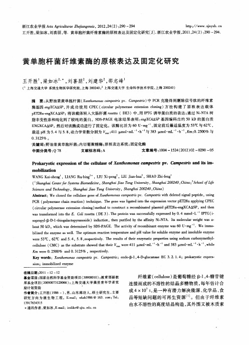 黄单胞杆菌纤维素酶的原核表达及固定化研究