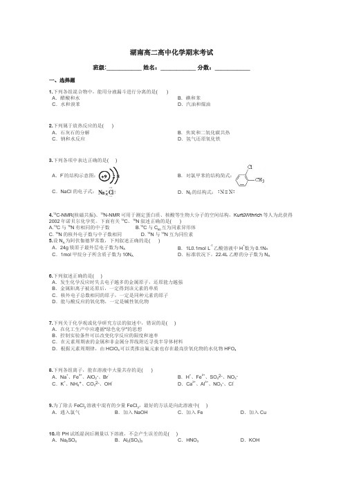 湖南高二高中化学期末考试带答案解析
