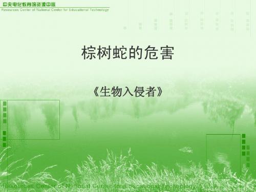 生物入侵者2课件下载课件.ppt