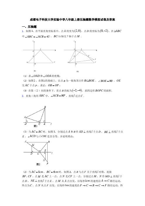 成都电子科技大学实验中学八年级上册压轴题数学模拟试卷及答案