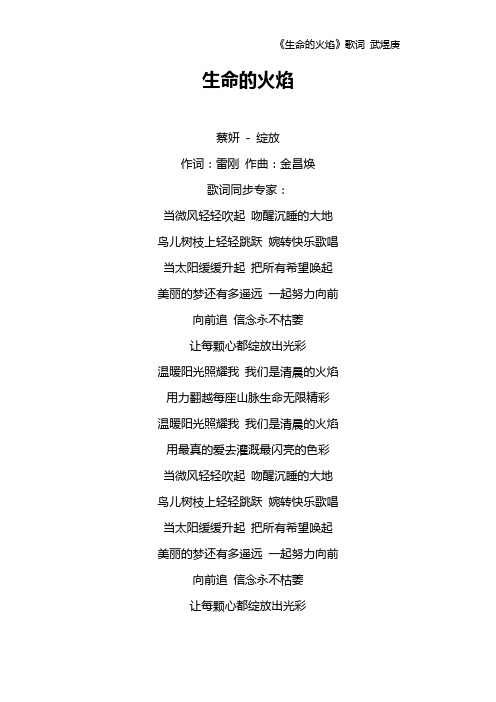 《生命的火焰》歌词 武煜庚