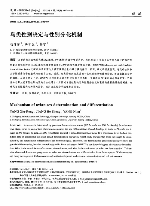 鸟类性别决定与性别分化机制