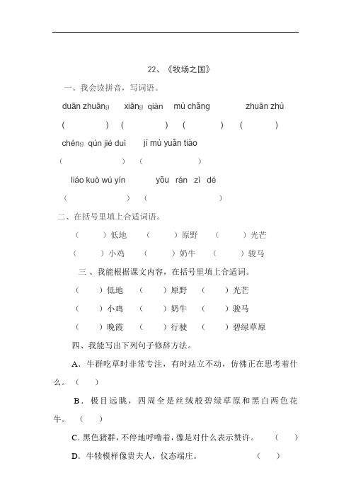 人教版四年级语文下册22、牧场之国(练习题)