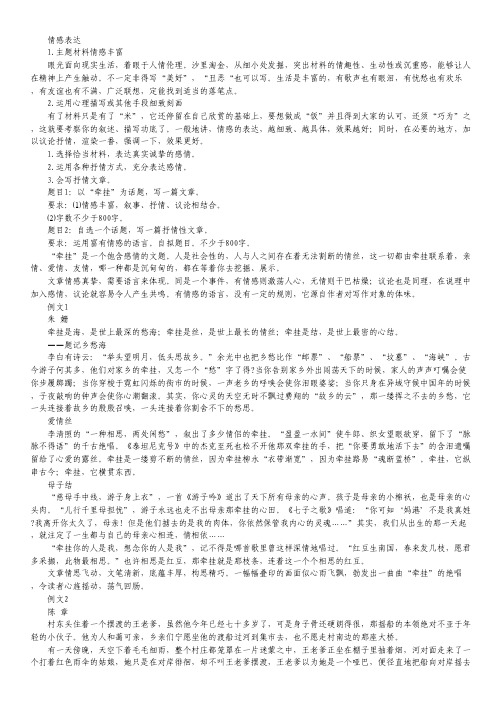 高考语文冲刺密档：作文训练 情感表达