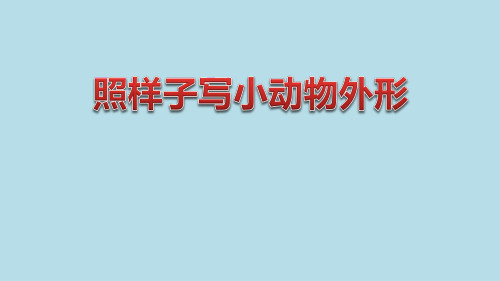 三年级下册语文课件《昆虫备忘录》照样子写小动物外形人教部编版〔优秀PPT〕