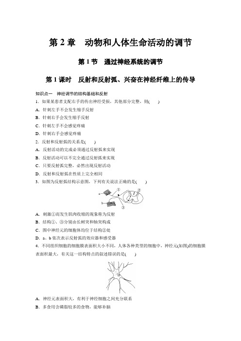 课时作业9：2.1.1 反射和反射弧、兴奋在神经纤维上的传导