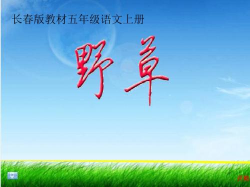 长春版教材五年级语文上册《野草》说课课件