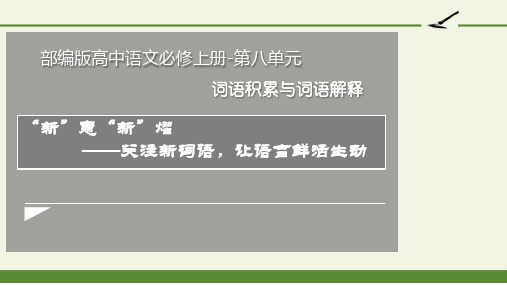 高中统编语文必修上册八单元词语积累与词语解释