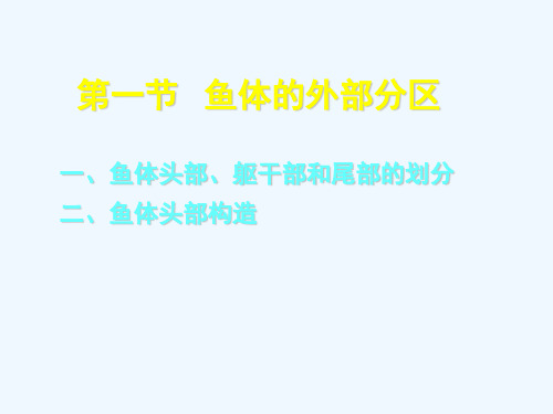 02鱼类的外部形态