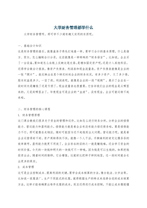 大学财务管理都学什么