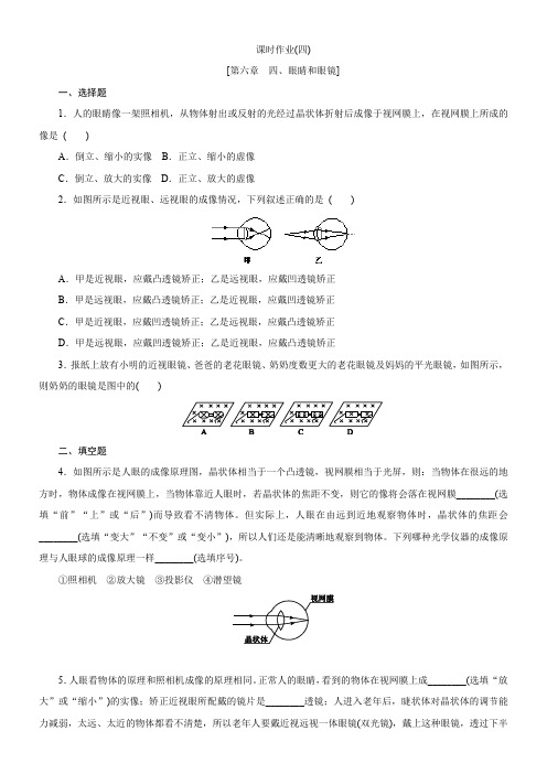 北师大版物理八年级第六章 四、眼睛和眼镜 